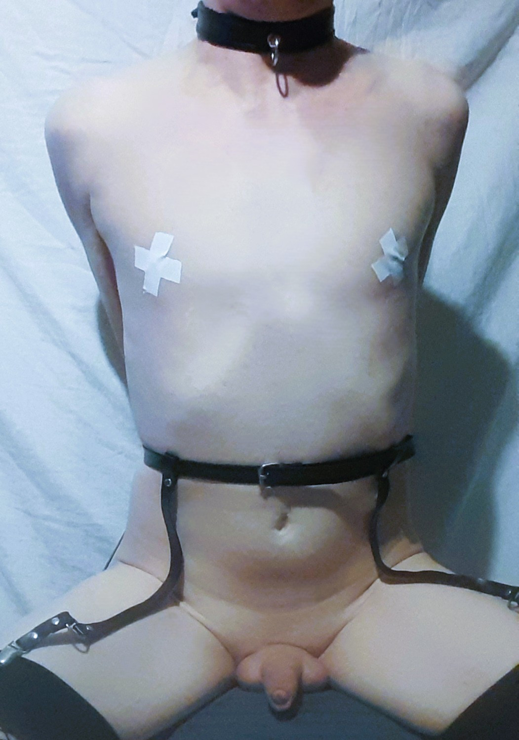 Sissy lingerie and chastity